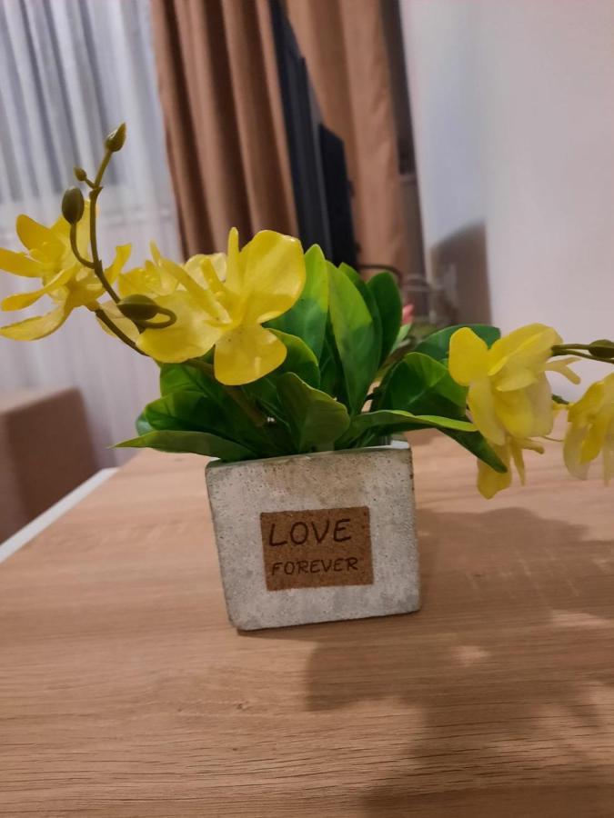 Apartman Rada 2 Bijeljina Esterno foto